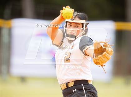 Thumbnail 1 in Wayne County vs Sonoraville (GHSA 4A State Tournament) photogallery.