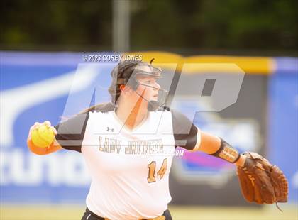 Thumbnail 3 in Wayne County vs Sonoraville (GHSA 4A State Tournament) photogallery.