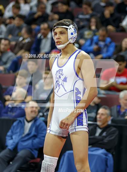 Thumbnail 2 in CIF State Boys Wrestling Championships (3rd Place Matches) photogallery.
