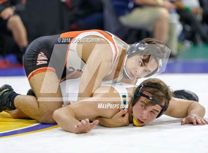 Thumbnail 1 in CIF State Boys Wrestling Championships (3rd Place Matches) photogallery.