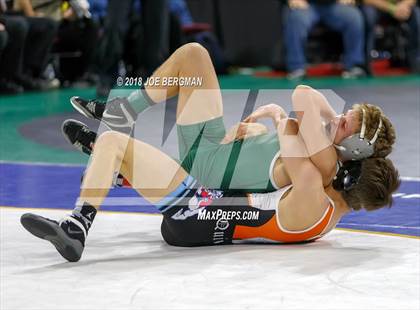 Thumbnail 2 in CIF State Boys Wrestling Championships (3rd Place Matches) photogallery.
