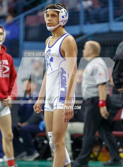 Thumbnail 2 in CIF State Boys Wrestling Championships (3rd Place Matches) photogallery.