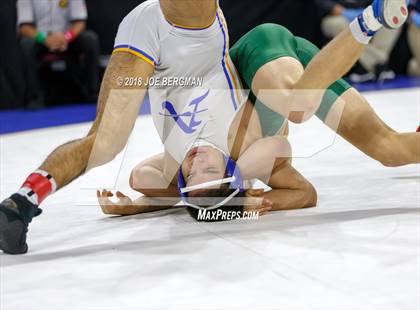 Thumbnail 1 in CIF State Boys Wrestling Championships (3rd Place Matches) photogallery.