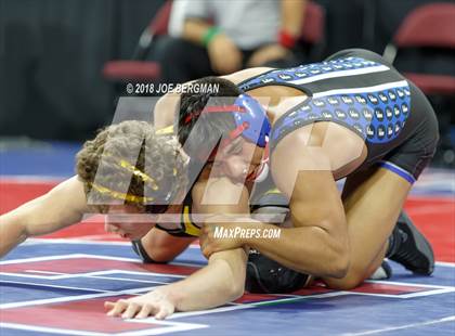 Thumbnail 2 in CIF State Boys Wrestling Championships (3rd Place Matches) photogallery.