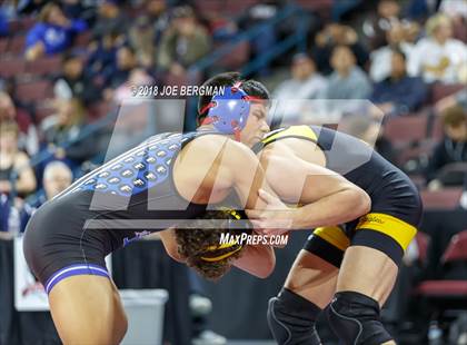 Thumbnail 3 in CIF State Boys Wrestling Championships (3rd Place Matches) photogallery.
