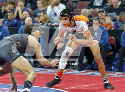 Thumbnail 1 in CIF State Boys Wrestling Championships (3rd Place Matches) photogallery.