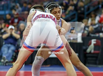 Thumbnail 3 in CIF State Boys Wrestling Championships (3rd Place Matches) photogallery.