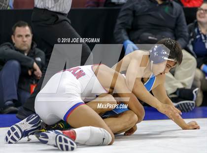 Thumbnail 3 in CIF State Boys Wrestling Championships (3rd Place Matches) photogallery.