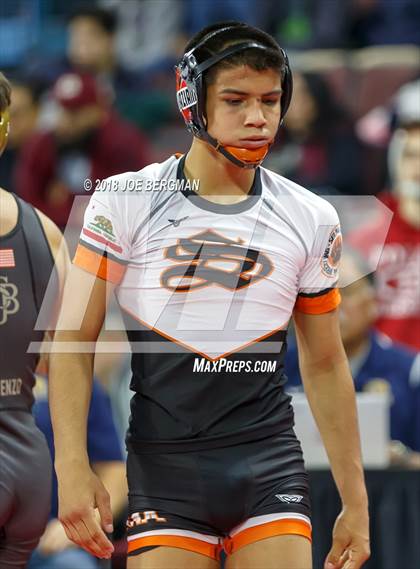 Thumbnail 2 in CIF State Boys Wrestling Championships (3rd Place Matches) photogallery.