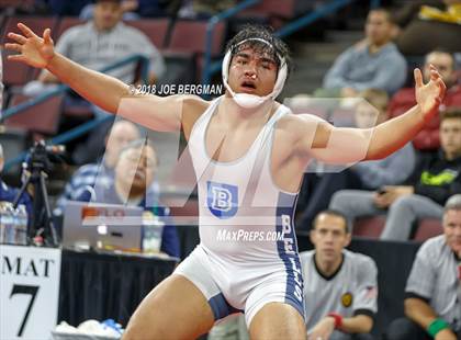Thumbnail 3 in CIF State Boys Wrestling Championships (3rd Place Matches) photogallery.