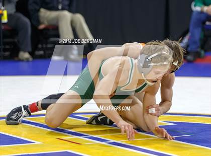 Thumbnail 3 in CIF State Boys Wrestling Championships (3rd Place Matches) photogallery.