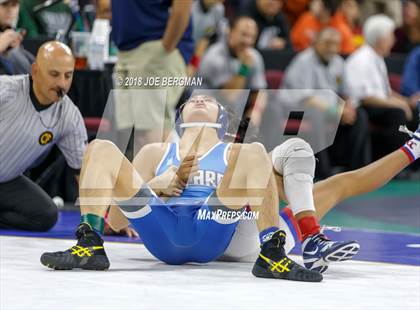 Thumbnail 2 in CIF State Boys Wrestling Championships (3rd Place Matches) photogallery.