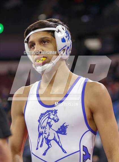 Thumbnail 1 in CIF State Boys Wrestling Championships (3rd Place Matches) photogallery.