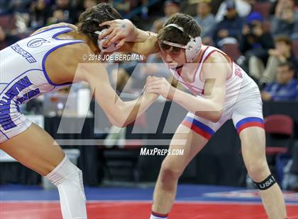 Thumbnail 1 in CIF State Boys Wrestling Championships (3rd Place Matches) photogallery.