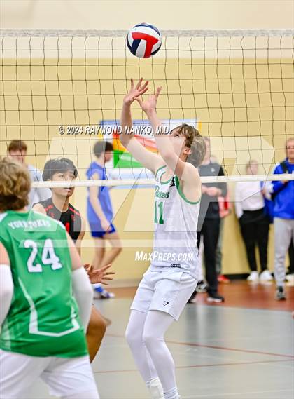 Thumbnail 2 in York vs. Southport photogallery.