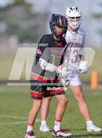 Photo from the gallery "Ponderosa @ Golden"