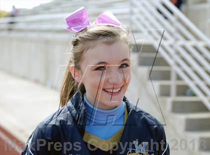 Thumbnail 2 in Longmont @ Greeley West photogallery.