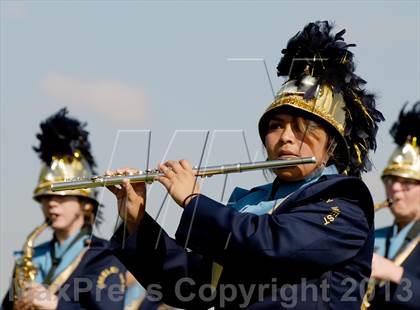 Thumbnail 3 in Longmont @ Greeley West photogallery.
