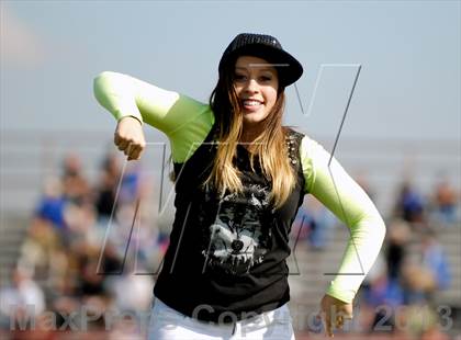 Thumbnail 1 in Longmont @ Greeley West photogallery.