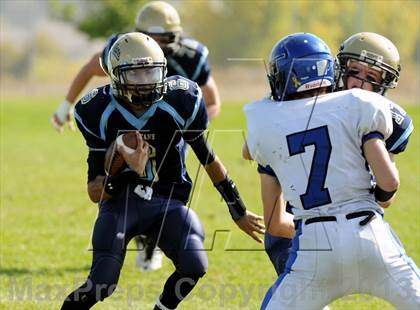 Thumbnail 2 in Longmont @ Greeley West photogallery.