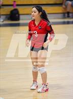 Photo from the gallery "DSST: Cedar @ Colorado Academy"