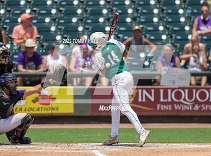 Thumbnail 1 in Valley Mills vs. Shiner (UIL 2A Baseball Final) photogallery.