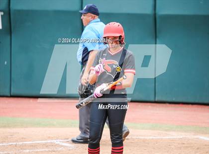Thumbnail 1 in Melissa vs. Harlingen South (UIL 5A Softball Final) photogallery.