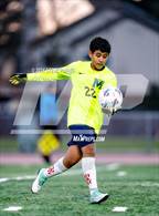 Photo from the gallery "Monterey Trail @ Laguna Creek"