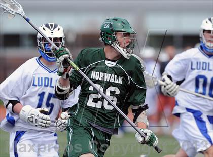 Thumbnail 2 in Norwalk @ Ludlowe photogallery.