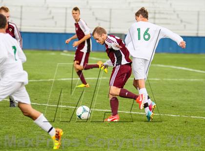 Thumbnail 1 in Golden @ Standley Lake photogallery.