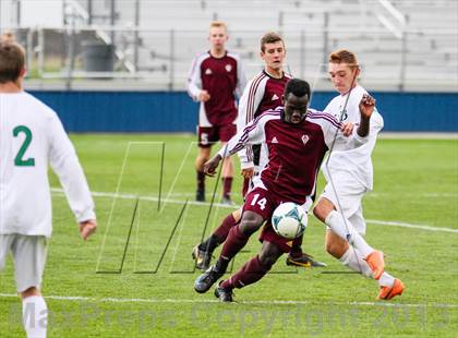 Thumbnail 2 in Golden @ Standley Lake photogallery.