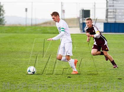 Thumbnail 1 in Golden @ Standley Lake photogallery.