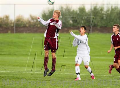 Thumbnail 1 in Golden @ Standley Lake photogallery.