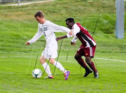 Thumbnail 3 in Golden @ Standley Lake photogallery.