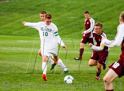 Thumbnail 1 in Golden @ Standley Lake photogallery.