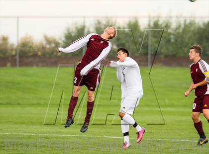 Thumbnail 2 in Golden @ Standley Lake photogallery.