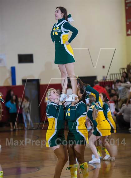 Thumbnail 3 in Williamsville North @ Clarence photogallery.