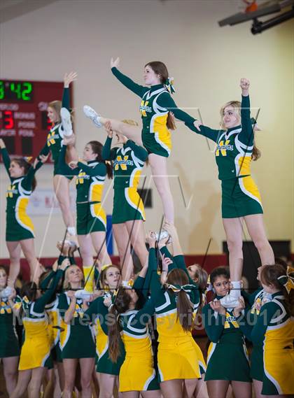 Thumbnail 1 in Williamsville North @ Clarence photogallery.