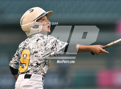 Thumbnail 1 in Foothill vs. Newport Harbor photogallery.