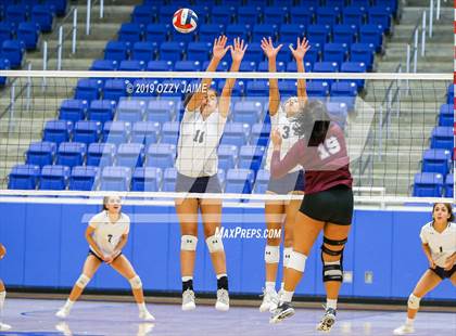 Thumbnail 3 in Marshall vs. O'Connor photogallery.