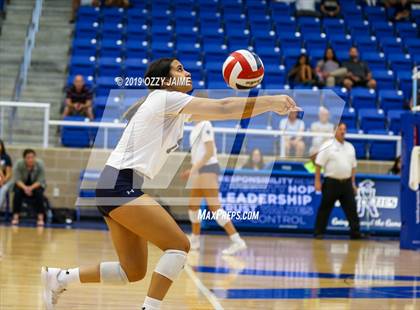 Thumbnail 1 in Marshall vs. O'Connor photogallery.