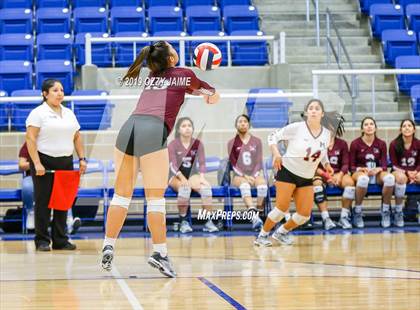 Thumbnail 2 in Marshall vs. O'Connor photogallery.