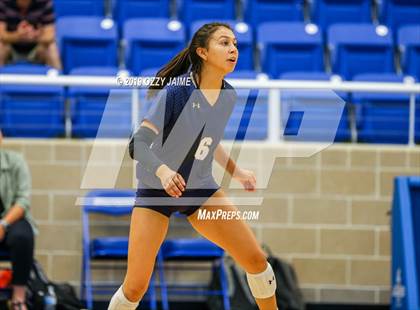 Thumbnail 3 in Marshall vs. O'Connor photogallery.