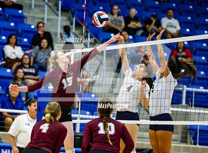 Thumbnail 1 in Marshall vs. O'Connor photogallery.