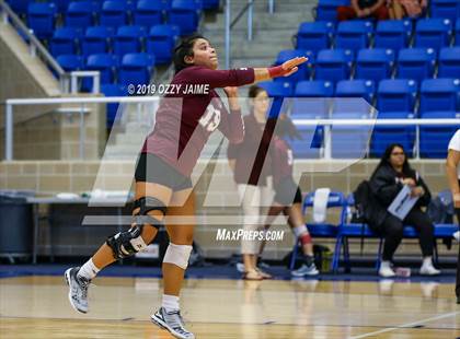 Thumbnail 2 in Marshall vs. O'Connor photogallery.