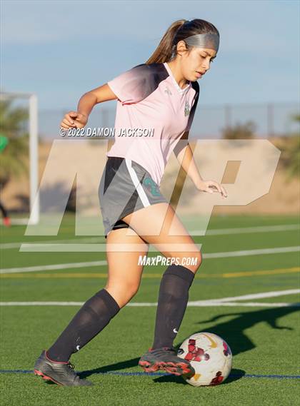 Thumbnail 3 in JV: Cheyenne @ Virgin Valley photogallery.