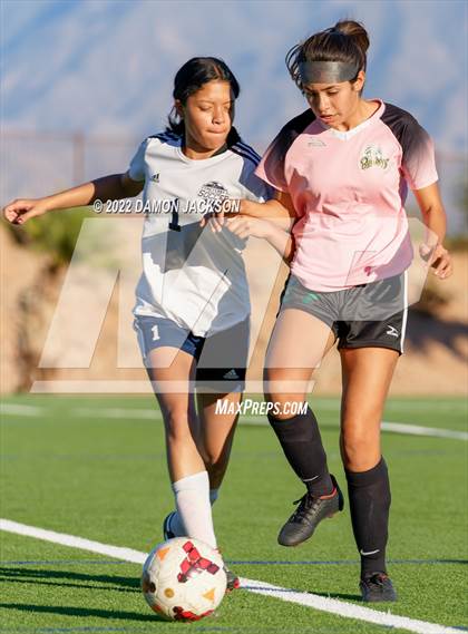 Thumbnail 1 in JV: Cheyenne @ Virgin Valley photogallery.
