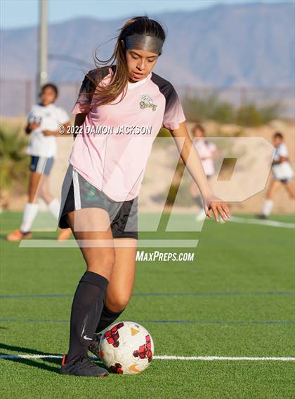 Thumbnail 3 in JV: Cheyenne @ Virgin Valley photogallery.