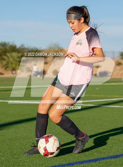 Thumbnail 3 in JV: Cheyenne @ Virgin Valley photogallery.