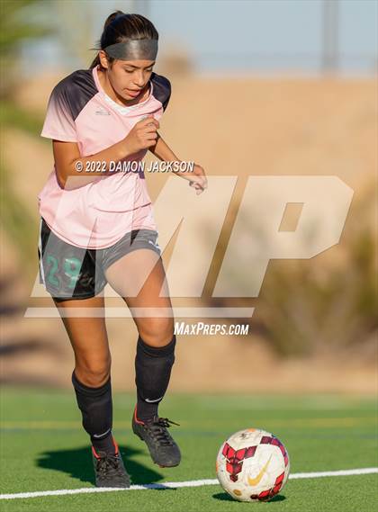 Thumbnail 3 in JV: Cheyenne @ Virgin Valley photogallery.